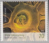 Bund Mi.-Nr. 3206 ** Zählnummer