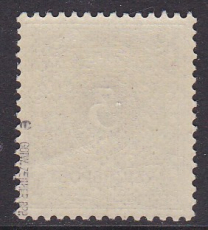 Deutsches Reich Mi.-Nr. 45 e ** gepr. BPP