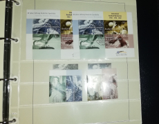 Bund Sammlung 1949 - 2007 gestempelt