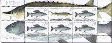 Bund H-Blatt Mi.-Nr. 3169 + 3171 **