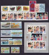 Guernsey Jahrgang 1981 **