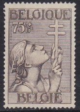 Belgien Mi.-Nr. 369 *