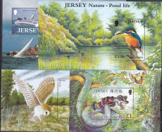 Jersey Jahrgang 2001 postfrisch