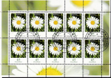 Bund Mi.-Nr. 2451 oo Zehnerbogen