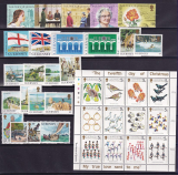 Guernsey Jahrgang 1984 **