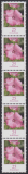 Bund Mi.-Nr. 2462 R ** 5er Streifen